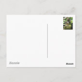 Buddha Bali Postkarte (Rückseite)