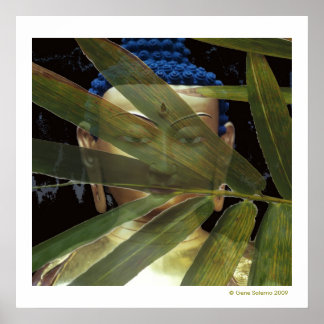 Buddha Bamboo Poster