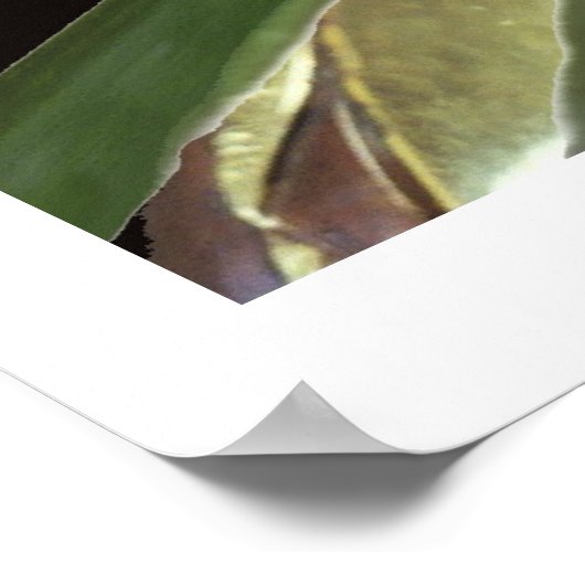 Buddha Bamboo Poster (Ecke)