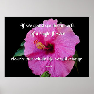 Buddha, eine Single-Blume Poster