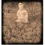 Buddha Fotoskulptur<br><div class="desc">Buddha Fotoskulptur Woodstock, NY</div>