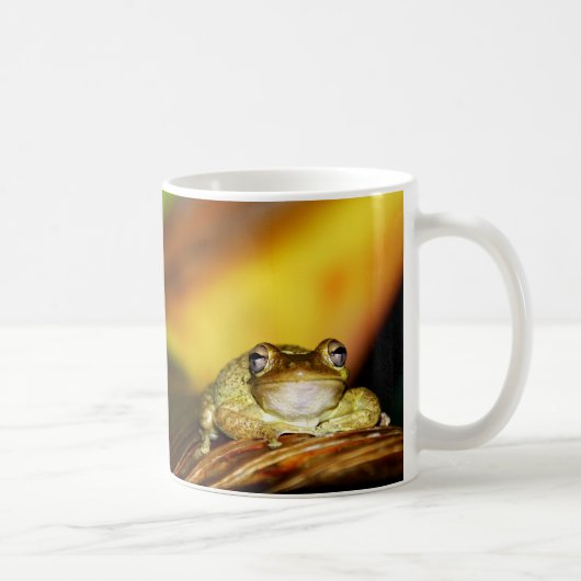 Buddha-Frosch Kaffeetasse (Rechts)