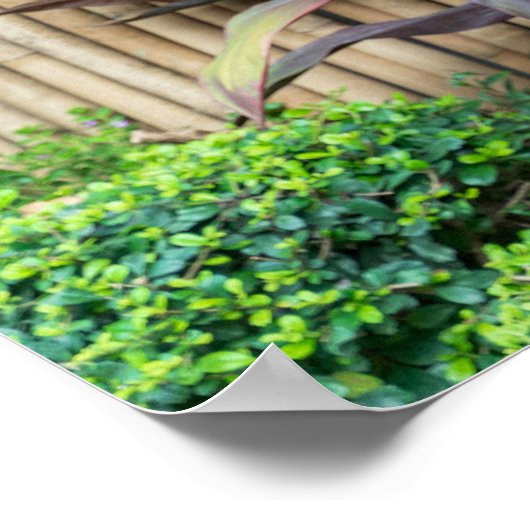 Buddha Garden Mauer Poster (Ecke)