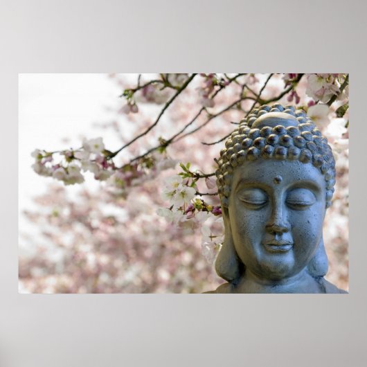 Buddha Head gegen Sakura Cheroms Poster (Vorne)