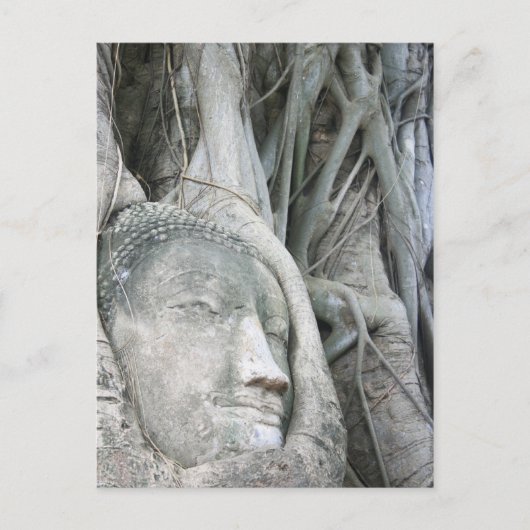 Buddha Head Postcard Postkarte (Vorderseite)