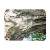 Buddha Head Premium Magnet (Horizontal)