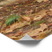 Buddha im Regen Poster (Ecke)