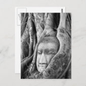 Buddha in einem Baum Postkarte (Vorne/Hinten)