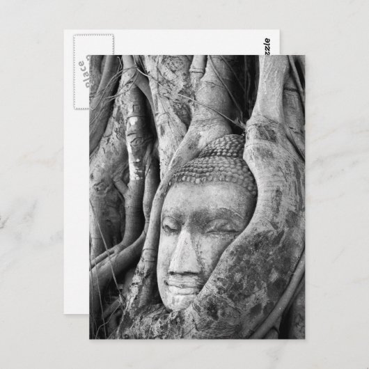 Buddha in einem Baum Postkarte (Vorne/Hinten)