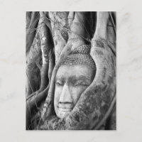 Buddha in einem Baum