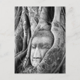 Buddha in einem Baum Postkarte