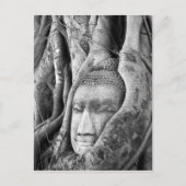 Buddha in einem Baum Postkarte (Vorderseite)