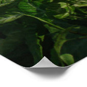 Buddha in Gedanken Poster (Ecke)