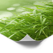 Buddha - Jeden Morgen. Poster (Ecke)