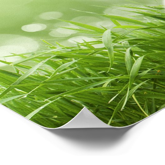 Buddha - Jeden Morgen. Poster (Ecke)