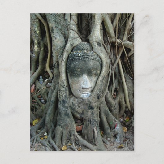 Buddha-Kopf Postkarte (Vorderseite)