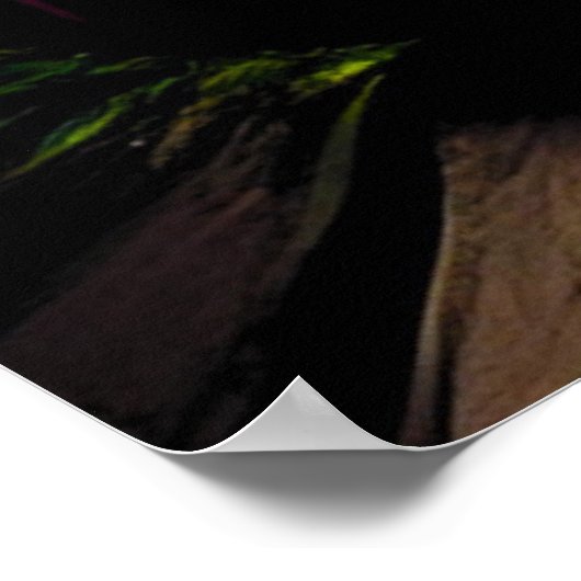 Buddha Luminous Awakening Poster (Ecke)