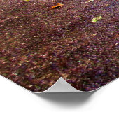 Buddha Path Zitat Poster (Ecke)