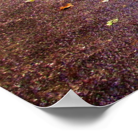 Buddha Path Zitat Poster (Ecke)