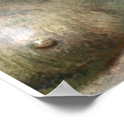 Buddha Poster (Ecke)