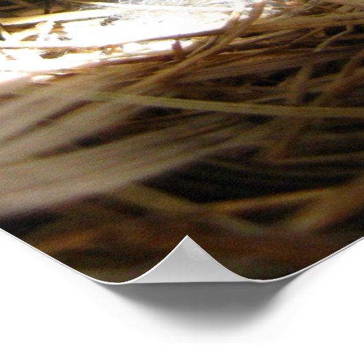 Buddha Quote Poster (Ecke)