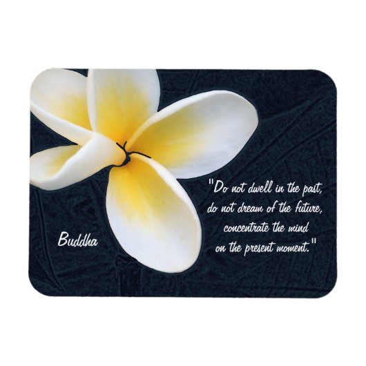 Buddha Quotes & Fragipani Blume / Kunstmeditation Magnet (Horizontal)