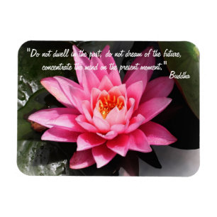 Buddha Quotes & Lotus Blume / Naturmeditation Magnet