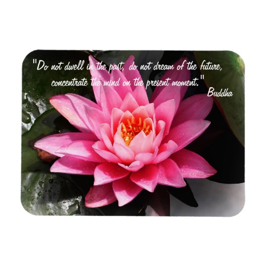 Buddha Quotes & Lotus Blume / Naturmeditation Magnet (Horizontal)