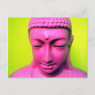 Buddha rosa postkarte