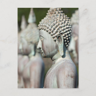 Buddha Statues, Colombo, Sri Lanka Postkarte