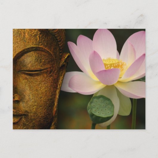 Buddha und Blume Postkarte (Vorderseite)