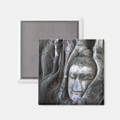 Buddha und der Baumbuddhismus Thailand Fotografie Magnet (Vorderseite/Rückseite)