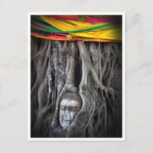 Buddha und der Baumbuddhismus Thailand Fotografie Postkarte