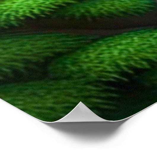 Buddha Waterfall Poster (Ecke)