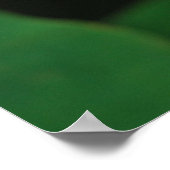 Buddha Zitat Lotus Blume Poster (Ecke)