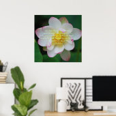 Buddha Zitat Lotus Blume Poster (Heimbüro)