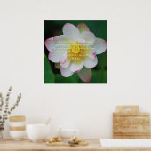 Buddha Zitat Lotus Blume Poster (Küche)