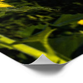 Buddha Zitat Poster (Ecke)