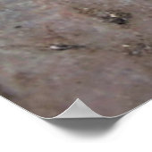 Buddhas Fußabdruck Tibet Poster (Ecke)