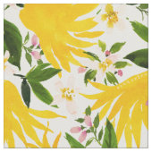 BUDDHA's HAND Citrus Fruit Stoff (Nahaufnahme)