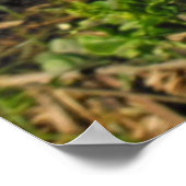 Buddhas Handzitron Poster (Ecke)