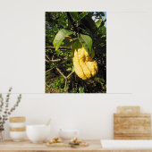 Buddhas Handzitron Poster (Küche)