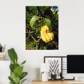 Buddhas Handzitron Poster (Heimbüro)