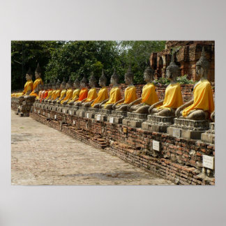 Buddhas Poster