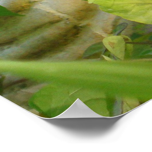 Buddhas Rücken Poster (Ecke)