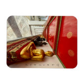buddhas was pho thailand magnet (Horizontal)