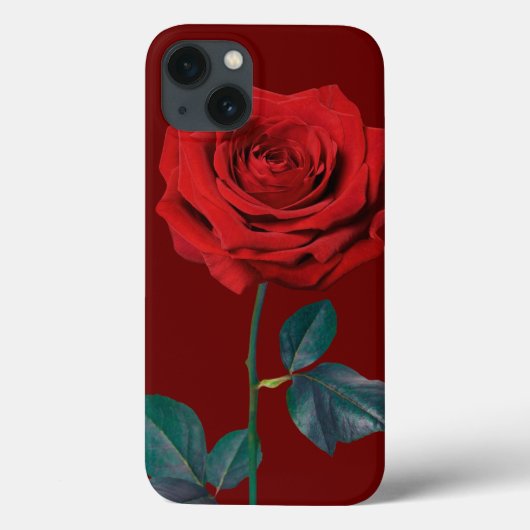BuddhaToday V1 #16 Case-Mate Case-Mate iPhone Case (Rückseite)