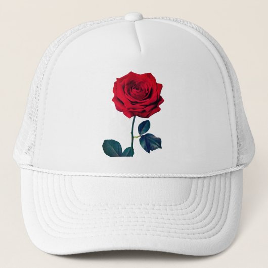 BuddhaToday V1 - #1 🌹 Truckerkappe (Vorderseite)