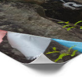 Buddhist Painting on Rocks Poster (Ecke)
