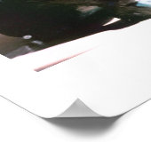 Buddhistin Poster (Ecke)